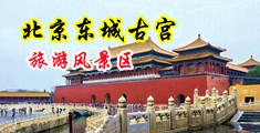 操逼…啊啊啊啊啊啊视频中国北京-东城古宫旅游风景区